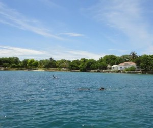 Isla Grande.  Source: www.panoramio.com - Photo by peruvianadvisor